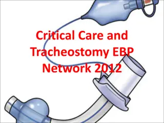 Evidence-Based Practice in Critical Care: Focus on FEES in Dysphagia Management