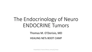 Neuroendocrine Tumors: Endocrinology Insights