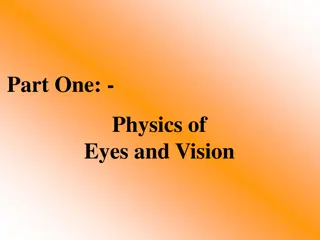 Fascinating Physics of Eyes and Vision