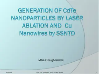 Laser Ablation for Generation of Nanoparticles and Nanowires: Workshop Insights