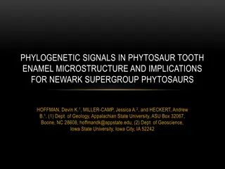 Phylogenetic Signals in Phytosaur Tooth Enamel Microstructure