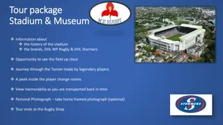 Explore Exciting Rugby Stadium Tours & Museum Visits in Cape Town