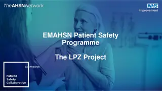 Enhancing Patient Safety in Care Homes Through LPZ Project