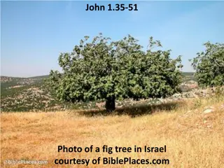 Following Jesus: Encounters from John 1 in Israel