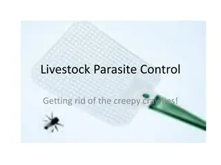 Livestock Parasite Control: Effective Strategies for Managing Internal Parasites