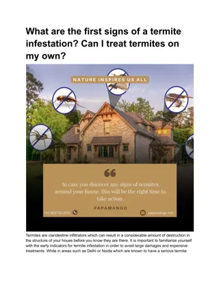 What are the first signs of a termite infestation? Can I treat termites?