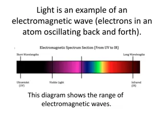 Understanding the Effects of Sunlight Exposure: Risks and Protection