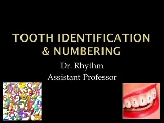 Dental Anatomy: Tooth Numbering Systems in Clinical Practice