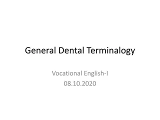 Dental Terminology Overview for Beginners