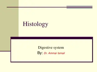 Histological Structure of Digestive System in Domestic Animals