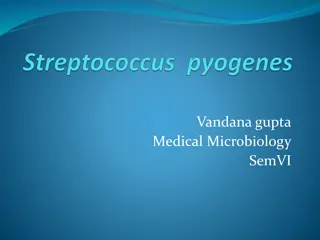 Overview of Streptococci and Their Classification in Medical Microbiology