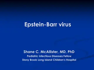 Understanding Epstein-Barr Virus and Mononucleosis