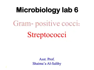 Streptococci: Classification and Characteristics