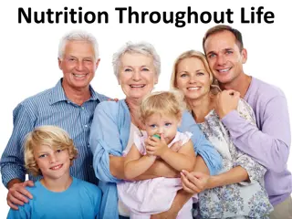 Healthy Nutrition Guidelines Throughout Life