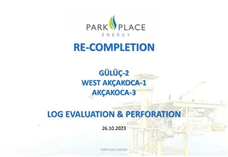 Well Re-Completion and Evaluation Summary for AKAKOCA-1 Platform: Overview of Operations and Pay Intervals