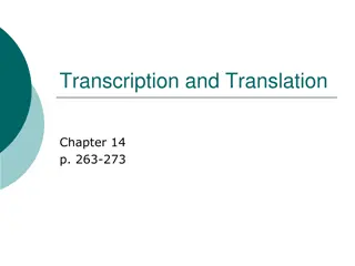 Transcription and Translation in Protein Synthesis