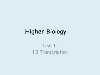 Transcription and Gene Expression in Biology