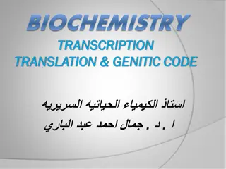 Understanding Transcription in Biochemistry