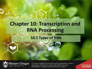 Transcription and RNA Processing in Molecular Biology