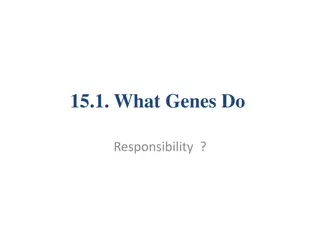 Gene Function and Expression in Molecular Genetics