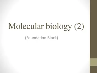 DNA Replication and Genetic Transcription