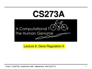 Understanding Gene Regulation Through Lecture 9 at Stanford