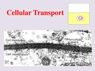 Cellular Transport and Cell Membrane Function