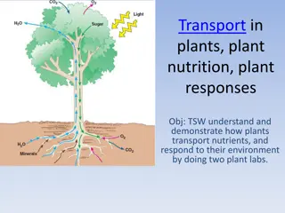 Plant Transport, Nutrition, and Responses