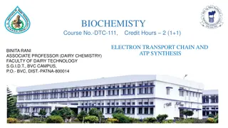 Electron Transport Chain and ATP Synthesis in Biochemistry