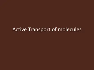 Active Transport of Molecules: Driven by ATP Hydrolysis