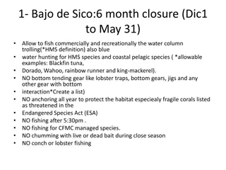 Fisheries Management Regulations for Bajo de Sico, Tourmaline, and Abril la Sierra