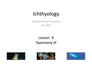 A Fascinating Dive into the World of Fish Taxonomy - Ichthyology Lesson Highlights