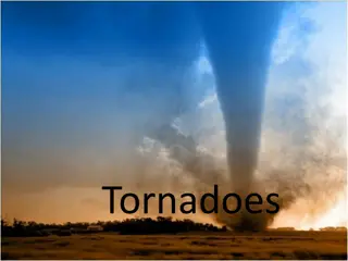 Tornadoes: Nature's Violent Fury