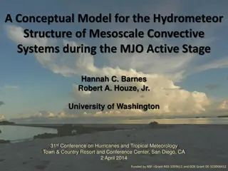 Conceptual Model for Hydrometeor Structure of Mesoscale Convective Systems during MJO Active Stage