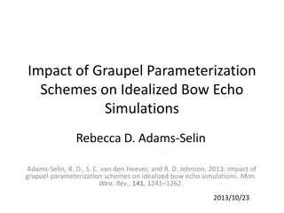 Impact of Graupel Parameterization Schemes on Bow Echo Simulations