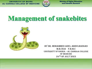 Comprehensive Management of Snakebites in Rural Areas: University of Basra Al-Zahraa College of Medicine