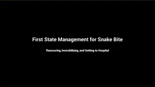 Snake Bite Management Guidelines: Reassurance, Immobilization, Hospital Care