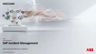 SAP Incident Management Overview and Support Process