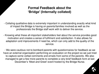 Feedback and Perspectives on The Bridge Project