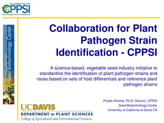 Collaboration for Plant Pathogen Strain Identification - CPPSI Initiative Overview