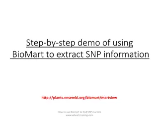 Step-by-Step Guide for Using BioMart to Extract SNP Information