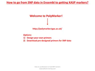 Using Ensembl SNP Data to Generate KASP Markers with PolyMarker