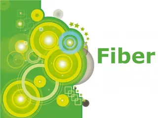 Fiber and Its Health Benefits