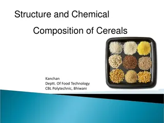 Structure and Chemical Composition of Cereal Grains: A Detailed Overview