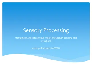 Sensory Processing in Children: Strategies for Home and School