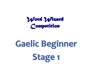 Gaelic Beginner Animal Vocabulary Word Wizard Competition