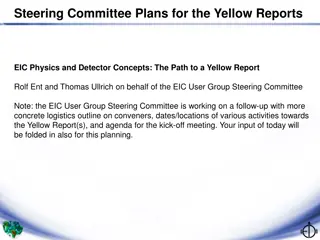 EIC User Group Steering Committee Plans for Yellow Reports on Physics and Detector Concepts