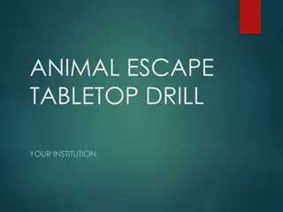 Animal Escape Drill and Tabletop Exercise Overview