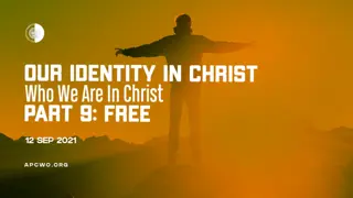 Embracing Freedom in Christ: Insights from Galatians