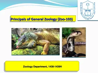 Overview of Zoology: Principals, Objectives, Assessment, and Tips for Success